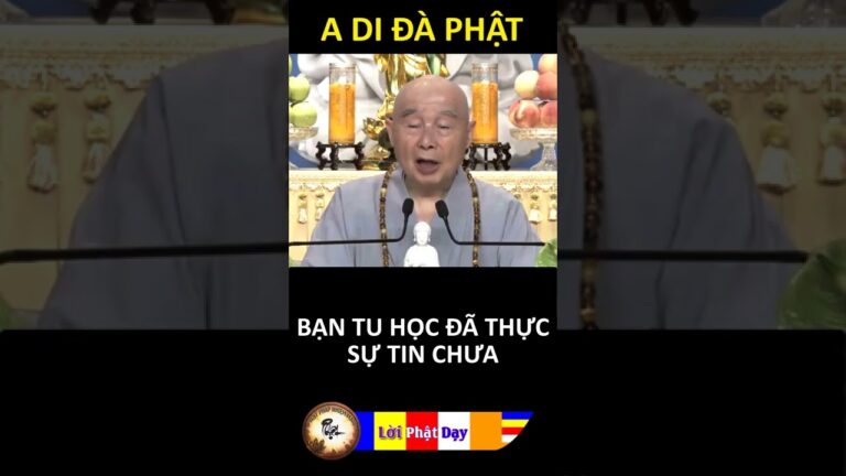 BẠN TU HỌC ĐÃ THỰC SỰ CÓ NIỀM TIN CHƯA? Pháp Sư Tịnh Không | Phật Pháp Nhiệm Màu