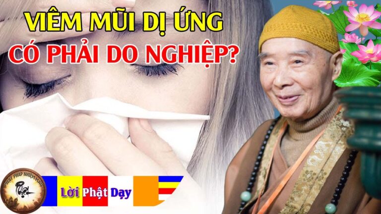 Viêm mũi dị ứng có phải bệnh do oan nghiệp không?