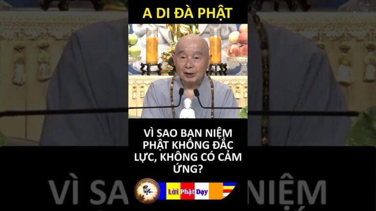 VÌ SAO BẠN NIỆM PHẬT KHÔNG ĐẮC LỰC, KHÔNG CÓ CẢM ỨNG? Pháp Sư Tịnh Không | Phật Pháp Nhiệm Màu