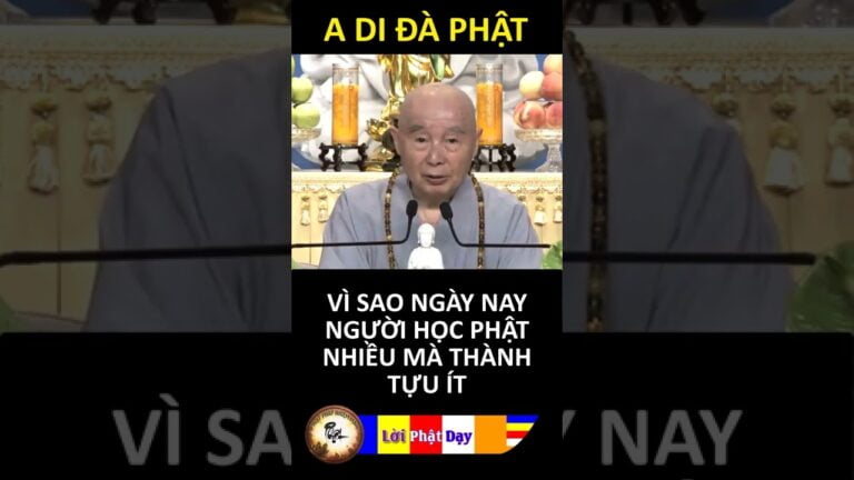 VÌ SAO NGÀY NAY NGƯỜI HỌC PHẬT NHIỀU MÀ THÀNH TỰU ÍT? Pháp Sư Tịnh Không | Phật Pháp Nhiệm Màu