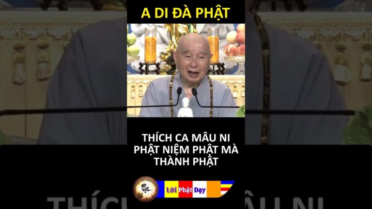 THÍCH CA MÂU NI PHẬT NIỆM PHẬT MÀ THÀNH PHẬT – Pháp Sư Tịnh Không | Phật Pháp Nhiệm Màu