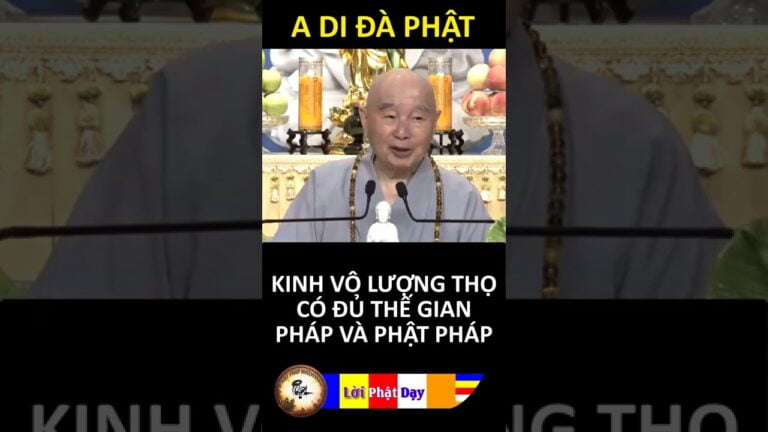 KINH VÔ LƯỢNG THỌ CÓ ĐỦ THẾ GIAN PHÁP VÀ PHẬT PHÁP – Pháp Sư Tịnh Không | Phật Pháp Nhiệm Màu