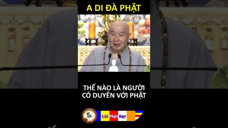 THẾ NÀO LÀ NGƯỜI CÓ DUYÊN VỚI PHẬT? Pháp Sư Tịnh Không – Phật Pháp Nhiệm Màu