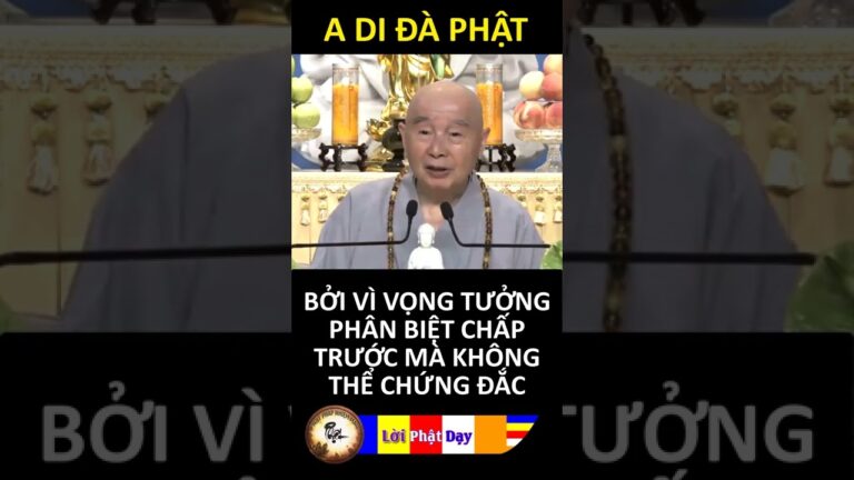 BỞI VÌ VỌNG TƯỞNG PHÂN BIỆT CHẤP TRƯỚC MÀ KHÔNG THỂ CHỨNG ĐẮC… Pháp Sư Tịnh Không