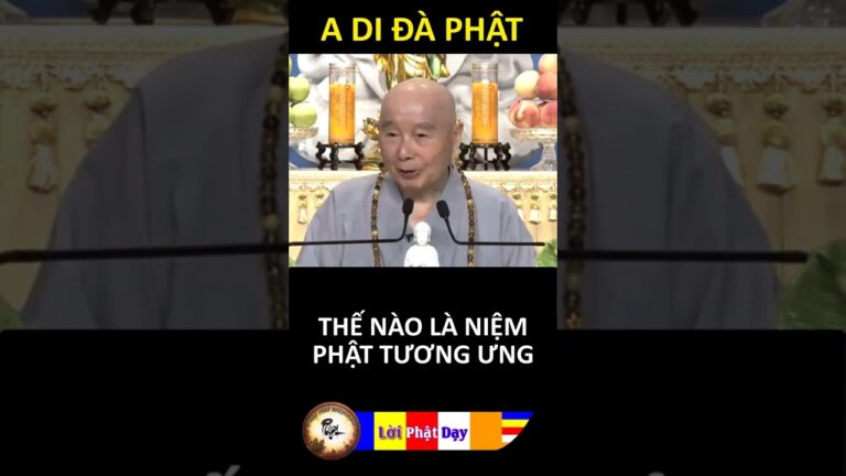 THẾ NÀO LÀ NIỆM PHẬT TƯƠNG ƯNG? Pháp Sư Tịnh Không | Phật Pháp Nhiệm Màu