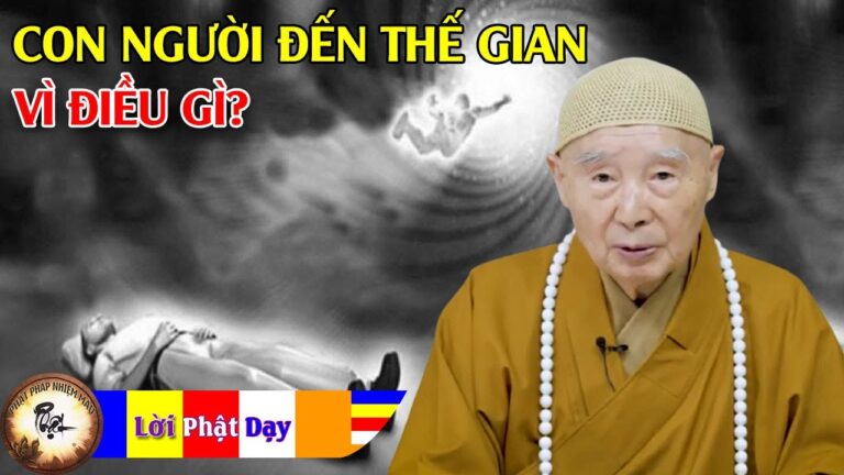 Con Người Sinh Đến Thế Gian Này Vì Điều Gì, Tương Lai Đi Về Đâu?