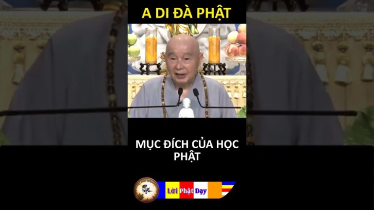 MỤC ĐÍCH CỦA HỌC PHẬT… Pháp Sư Tịnh Không | Phật Pháp Nhiệm Màu