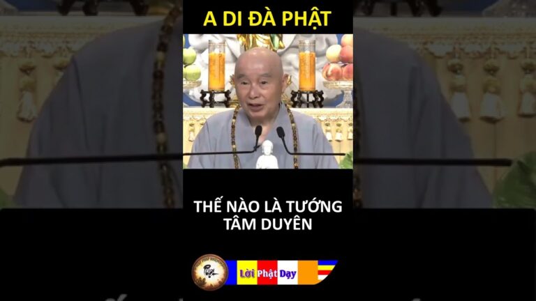 THẾ NÀO LÀ TƯỚNG TÂM DUYÊN? Pháp Sư Tịnh Không | Phật Pháp Nhiệm Màu