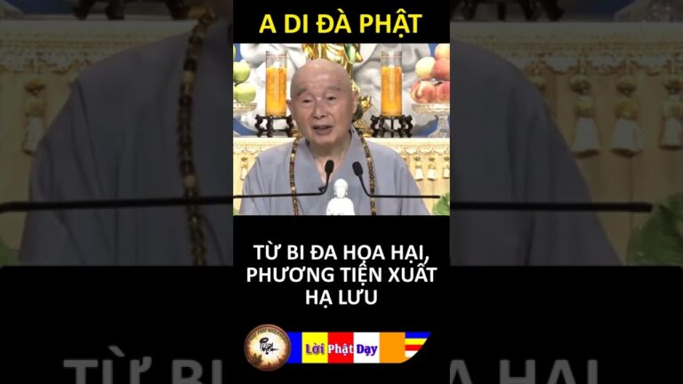 TỪ BI ĐA HỌA HẠI, PHƯƠNG TIỆN XUẤT HẠ LƯU – Pháp Sư Tịnh Không – Phật Pháp Nhiệm Màu