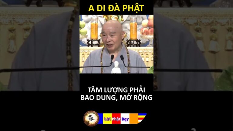 TÂM LƯỢNG PHẢI BAO DUNG, MỞ RỘNG… Pháp Sư Tịnh Không | Phật Pháp Nhiệm Màu