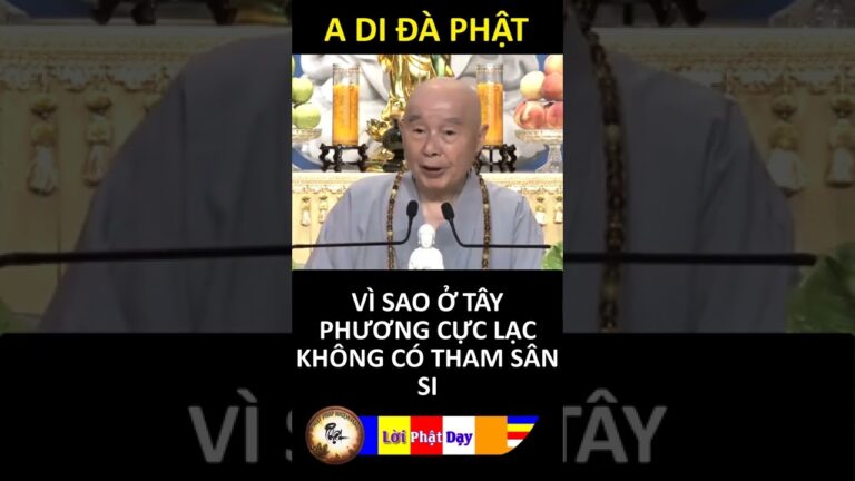 VÌ SAO Ở TÂY PHƯƠNG CỰC LẠC KHÔNG CÓ THAM SÂN SI – Pháp Sư Tịnh Không | Phật Pháp Nhiệm Màu