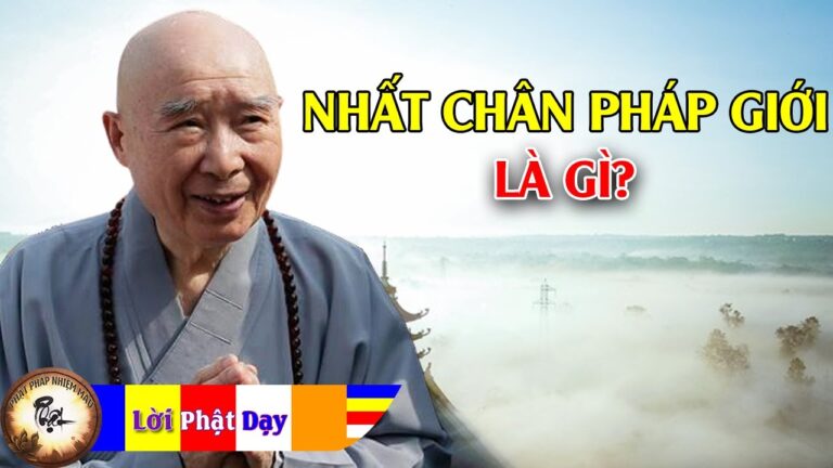 Nhất Chân Pháp Giới Là Gì?