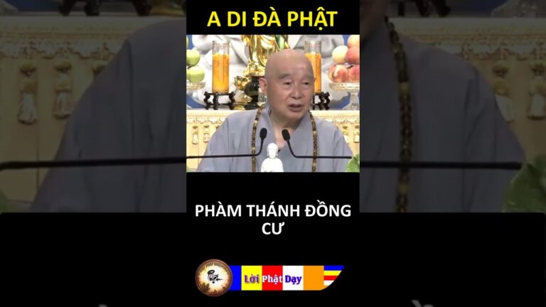 PHÀM THÁNH ĐỒNG CƯ – Pháp Sư Tịnh Không | Phật Pháp Nhiệm Màu