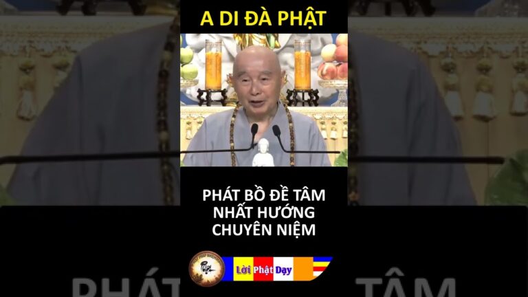 PHÁT BỒ ĐỀ TÂM NHẤT HƯỚNG CHUYÊN NIỆM – Pháp Sư Tịnh Không | Phật Pháp Nhiệm Màu