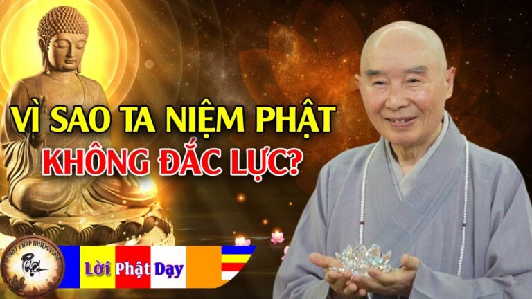 Vì sao ngày nay chúng ta niệm Phật công phu không đắc lực?