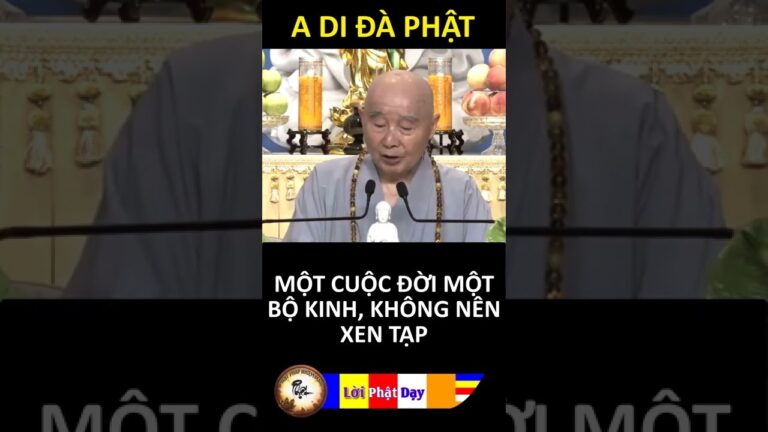 MỘT CUỘC ĐỜI MỘT BỘ KINH, KHÔNG NÊN XEN TẠP