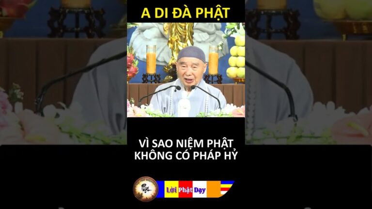 VÌ SAO NIỆM PHẬT KHÔNG CÓ PHÁP HỶ? Pháp Sư Tịnh Không | Phật Pháp Nhiệm Màu