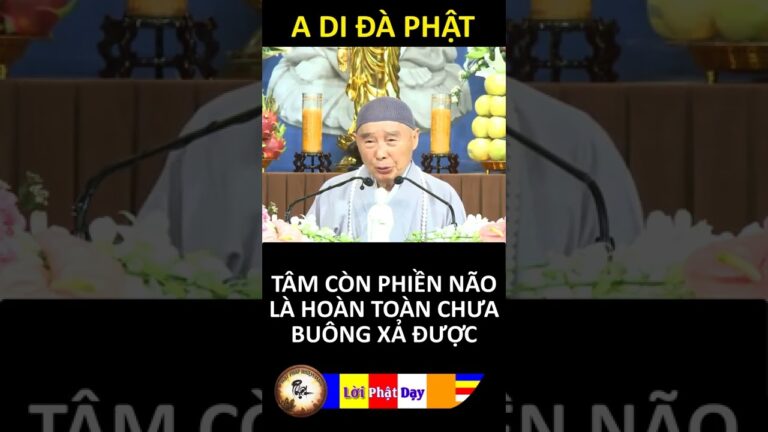 TÂM CÒN PHIỀN NÃO LÀ HOÀN TOÀN CHƯA BUÔNG XẢ ĐƯỢC – Pháp Sư Tịnh Không | Phật Pháp Nhiệm Màu