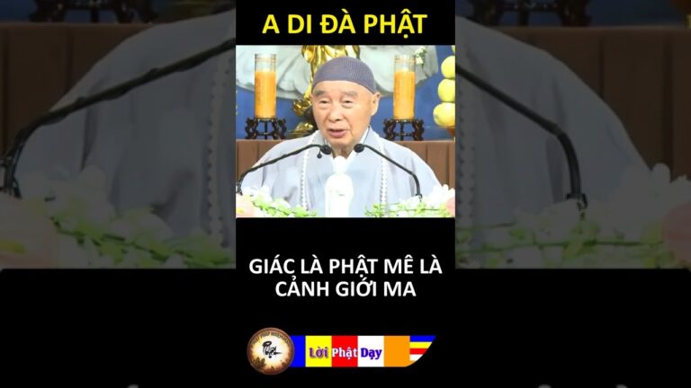 GIÁC LÀ PHẬT MÊ LÀ CẢNH GIỚI MA – Pháp Sư Tịnh Không | Phật Pháp Nhiệm Màu