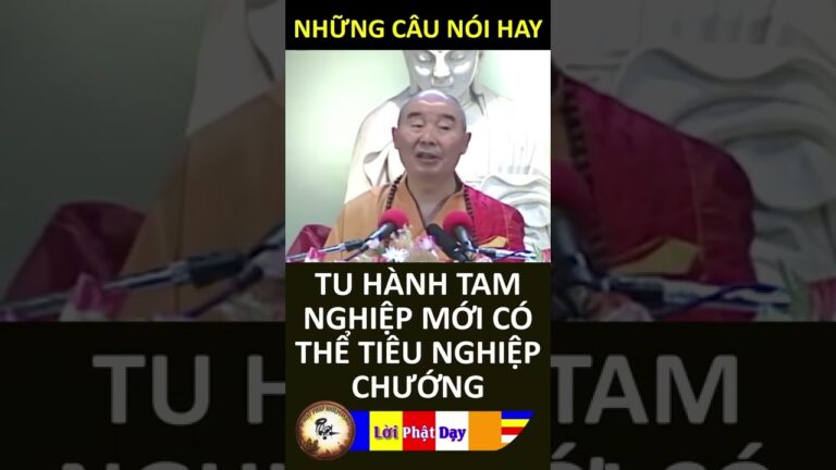 TU HÀNH TAM NGHIỆP MỚI CÓ THỂ TIÊU NGHIỆP CHƯỚNG – Pháp Sư Tịnh Không #shorts