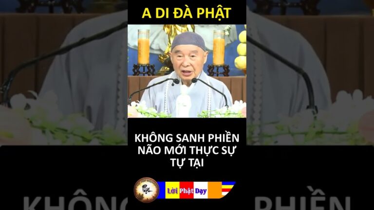 KHÔNG SANH PHIỀN NÃO MỚI THỰC SỰ TỰ TẠI