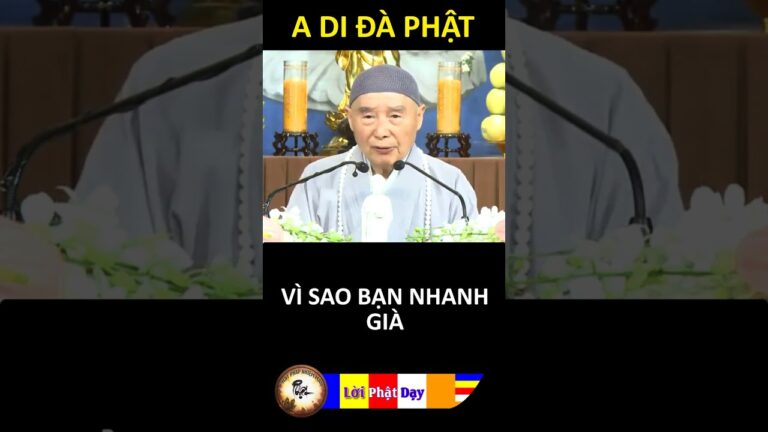 VÌ SAO BẠN NHANH GIÀ? Pháp Sư Tịnh Không | Phật Pháp Nhiệm Màu