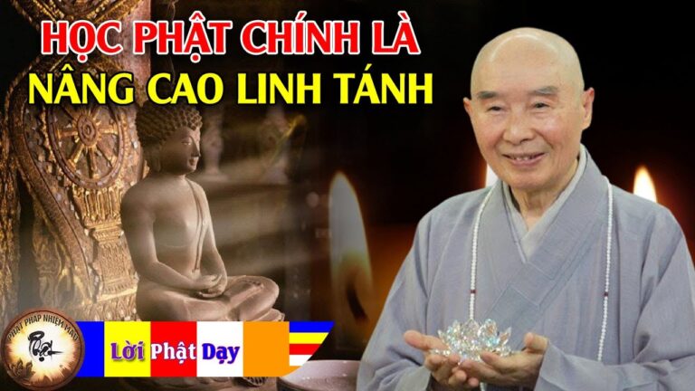 Học Phật Chính Là Không Ngừng Nâng Cao Linh Tánh Của Mình