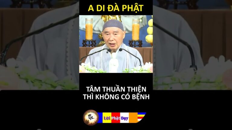 TÂM THUẦN THIỆN THÌ KHÔNG CÓ BỆNH – Pháp Sư Tịnh Không | Phật Pháp Nhiệm Màu