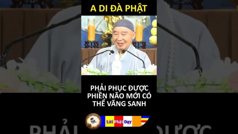 PHẢI PHỤC ĐƯỢC PHIỀN NÃO MỚI CÓ THỂ VÃNG SANH