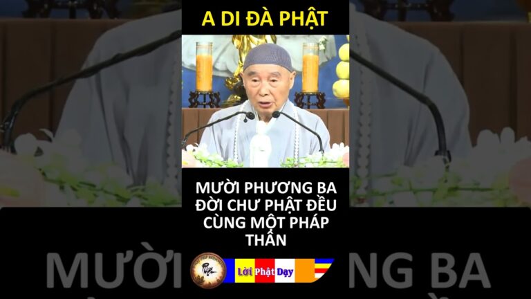 MƯỜI PHƯƠNG BA ĐỜI CHƯ PHẬT ĐỀU CÙNG MỘT PHÁP THÂN – Pháp Sư Tịnh Không | Phật Pháp Nhiệm Màu