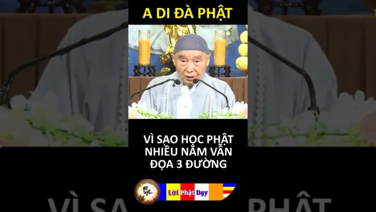 VÌ SAO HỌC PHẬT NHIỀU NĂM VẪN ĐỌA 3 ĐƯỜNG? Pháp Sư Tịnh Không | Phật Pháp Nhiệm Màu