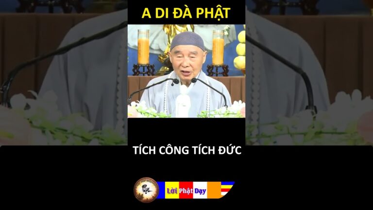 TÍCH CÔNG TÍCH ĐỨC – Pháp Sư Tịnh Không | Phật Pháp Nhiệm Màu