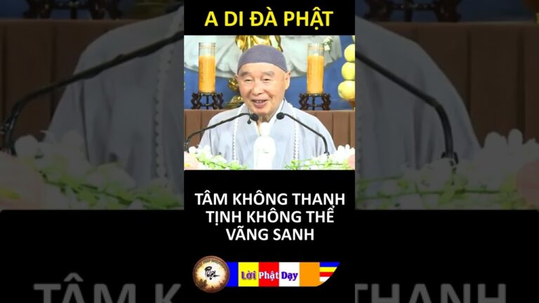 TÂM KHÔNG THANH TỊNH KHÔNG THỂ VÃNG SANH – Pháp Sư Tịnh Không | Phật Pháp Nhiệm Màu