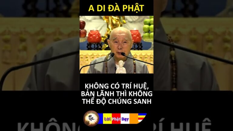 KHÔNG CÓ TRÍ HUỆ, BẢN LÃNH THÌ KHÔNG THỂ ĐỘ CHÚNG SANH – Pháp Sư Tịnh Không | Phật Pháp Nhiệm Màu