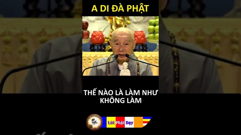 THẾ NÀO LÀ LÀM NHƯ KHÔNG LÀM? Pháp Sư Tịnh Không | Phật Pháp Nhiệm Màu