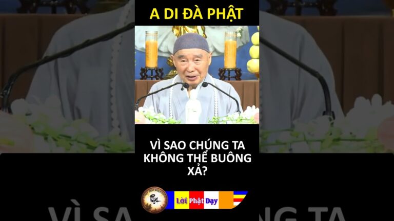 VÌ SAO CHÚNG TA KHÔNG THỂ BUÔNG XẢ? Pháp Sư Tịnh Không | Phật Pháp Nhiệm Màu