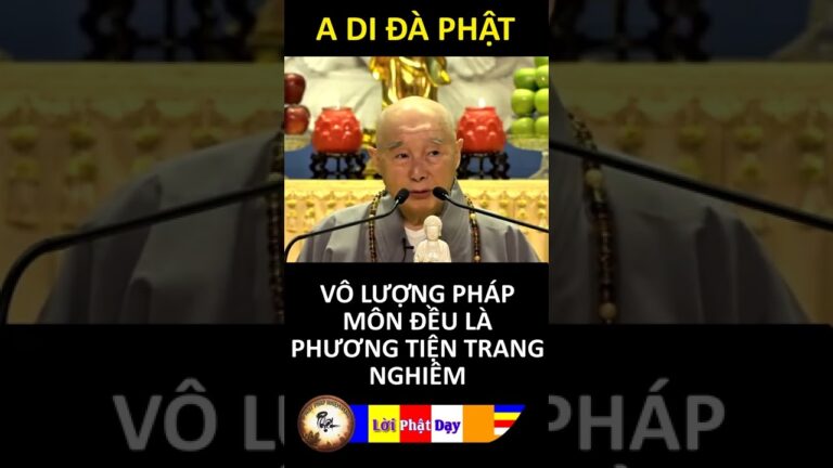 VÔ LƯỢNG PHÁP MÔN ĐỀU LÀ PHƯƠNG TIỆN TRANG NGHIÊM – Pháp Sư Tịnh Không | Phật Pháp Nhiệm Màu