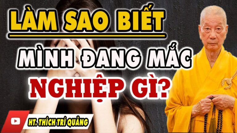 Làm Sao Biết Mình Đang MẮC NGHIỆP GÌ ( nghe ngay để biết ) – Thầy Thích Trí Quảng