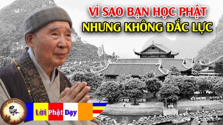 Vì sao học Phật nhiều năm nhưng công phu không đắc lực?