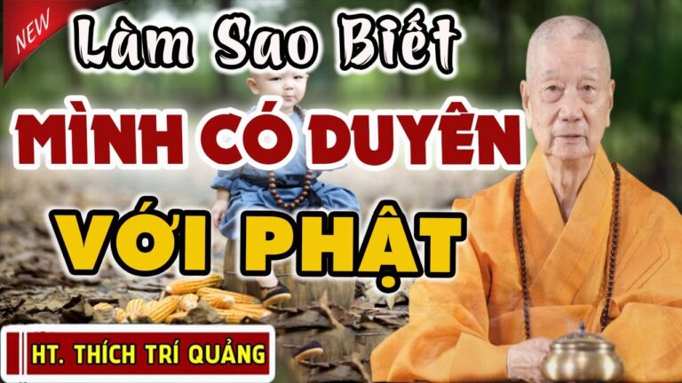 Làm Sao Biết Mình Có Duyên Với Phật? Thầy Thích Trí Quảng giảng cực hay về Nhân Duyên