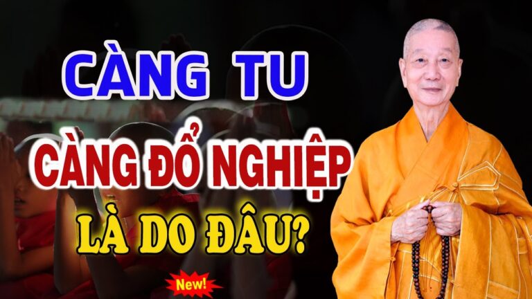 Tại Sao Càng Tu Nghiệp Lại Càng Đổ NGhiệp.? Có Phải LÀ Tu Sai Cách Hay không?