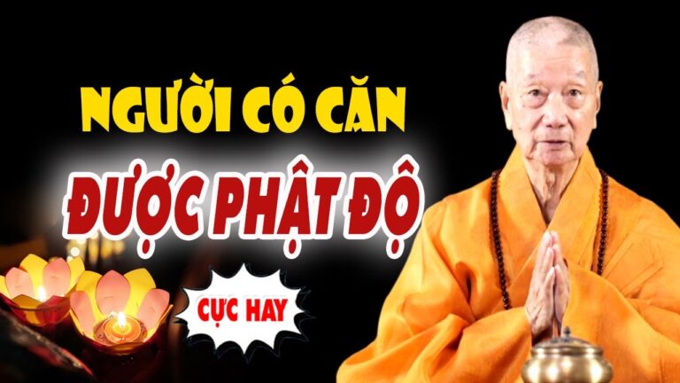 Dấu Hiệu Người Có Căn Được Phật Độ, Ai Cũng Nên Nghe 1 Lần – Pháp Thoại Thích Trí Quảng