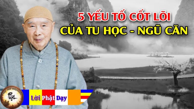 5 Yếu tố cốt lõi của tu học – Ngũ Căn | Hoà Thượng Tịnh Không | Phật Pháp Nhiệm Màu