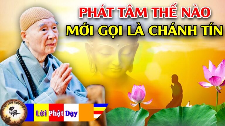 Phát tâm thế nào mới gọi là chánh tín? Pháp Sư Tịnh Không | Phật Pháp Nhiệm Màu