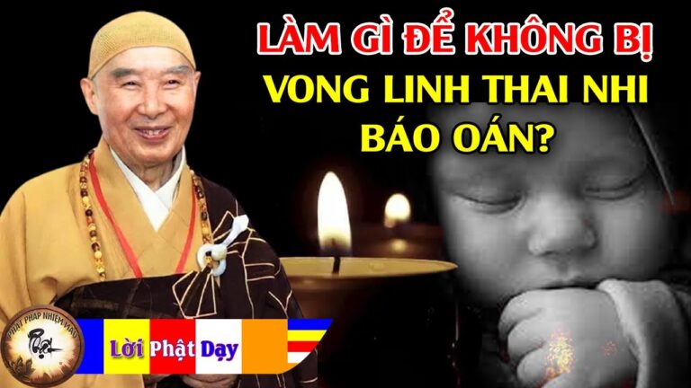 Bác sĩ sản phụ phải làm gì để không bị vong linh thai nhi báo oán? HT Tịnh Không trả lời vấn đáp