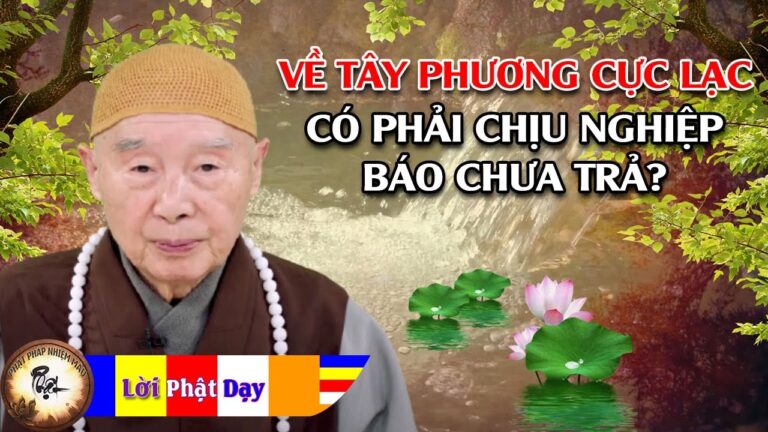 Về Tây Phương Cực Lạc Có Phải Chịu Nghiệp Báo Chưa Trả Không? Hòa Thượng Tịnh Không | PPNM