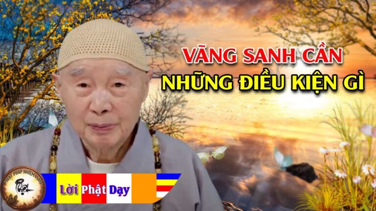 Vãng sanh cần những điều kiện gì? Hòa Thượng Tịnh Không | Phật Pháp Nhiệm Màu