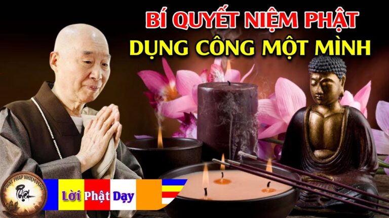 Bí quyết niệm Phật dụng công một mình – Hòa Thượng Tịnh Không khai thị | Phật Pháp Nhiệm Màu