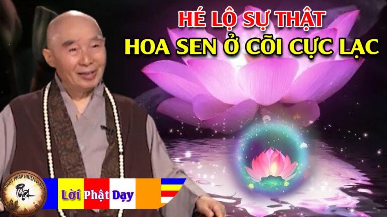 Hé lộ sự thật về Hoa Sen ở cõi cực lạc – Hòa Thượng Tịnh Không | Phật Pháp Nhiệm Màu