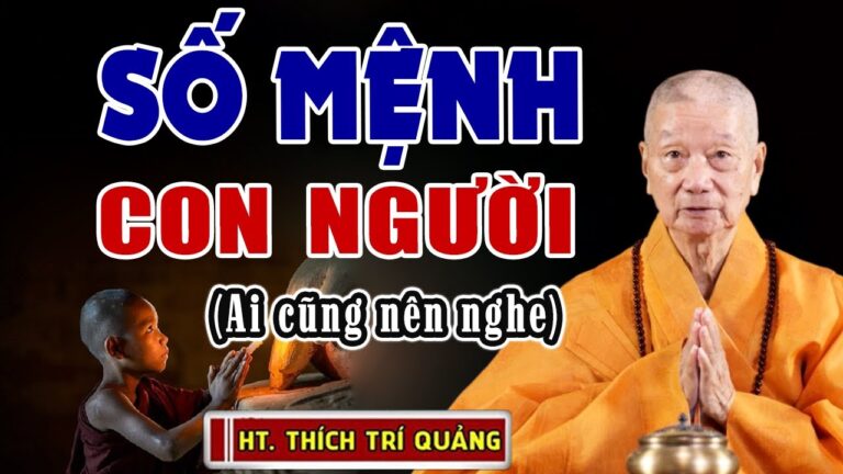 SỐ MỆNH Của Con Người Có Phải Đã Được Định Sẵn Từ Trước? Cách Cải Tạo Vận Mệnh Trở Nên Tốt Đẹp Hơn